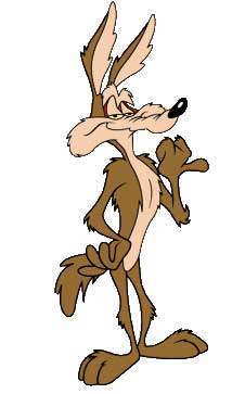 What does the Roadrunner cartoon have to do with management advice?